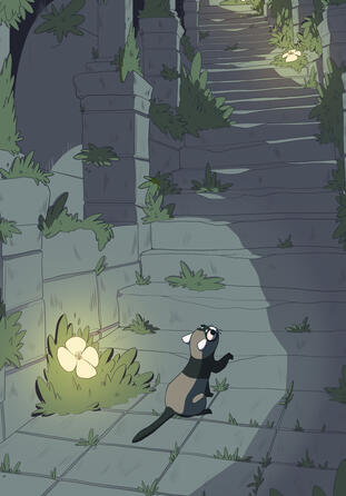 Toadal Take-Back: Road to Hoppiness